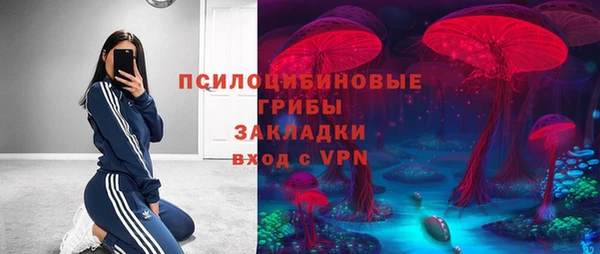 СК Верея