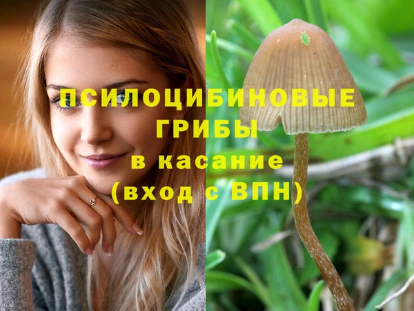 СК Верея
