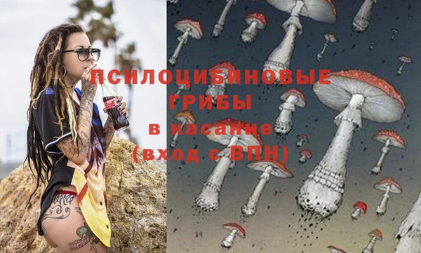 МДПВ Верхний Тагил
